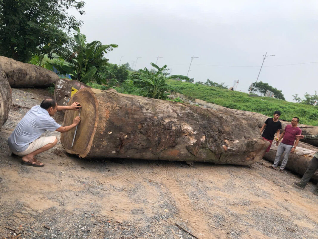 Bảng giá làm nhà gỗ theo m2 mới nhất