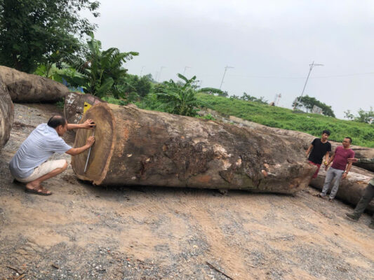 Bảng giá làm nhà gỗ theo m2 mới nhất